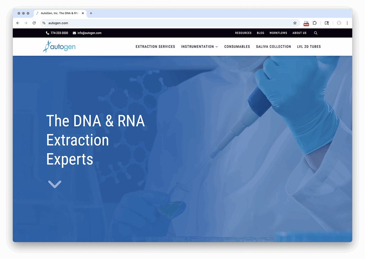 portsmouth nh web design